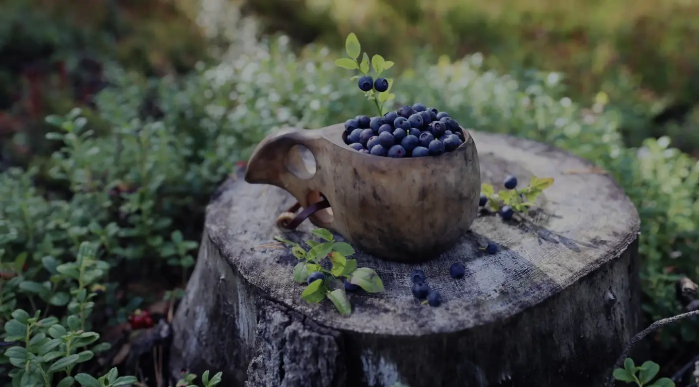 Finnish forest berries