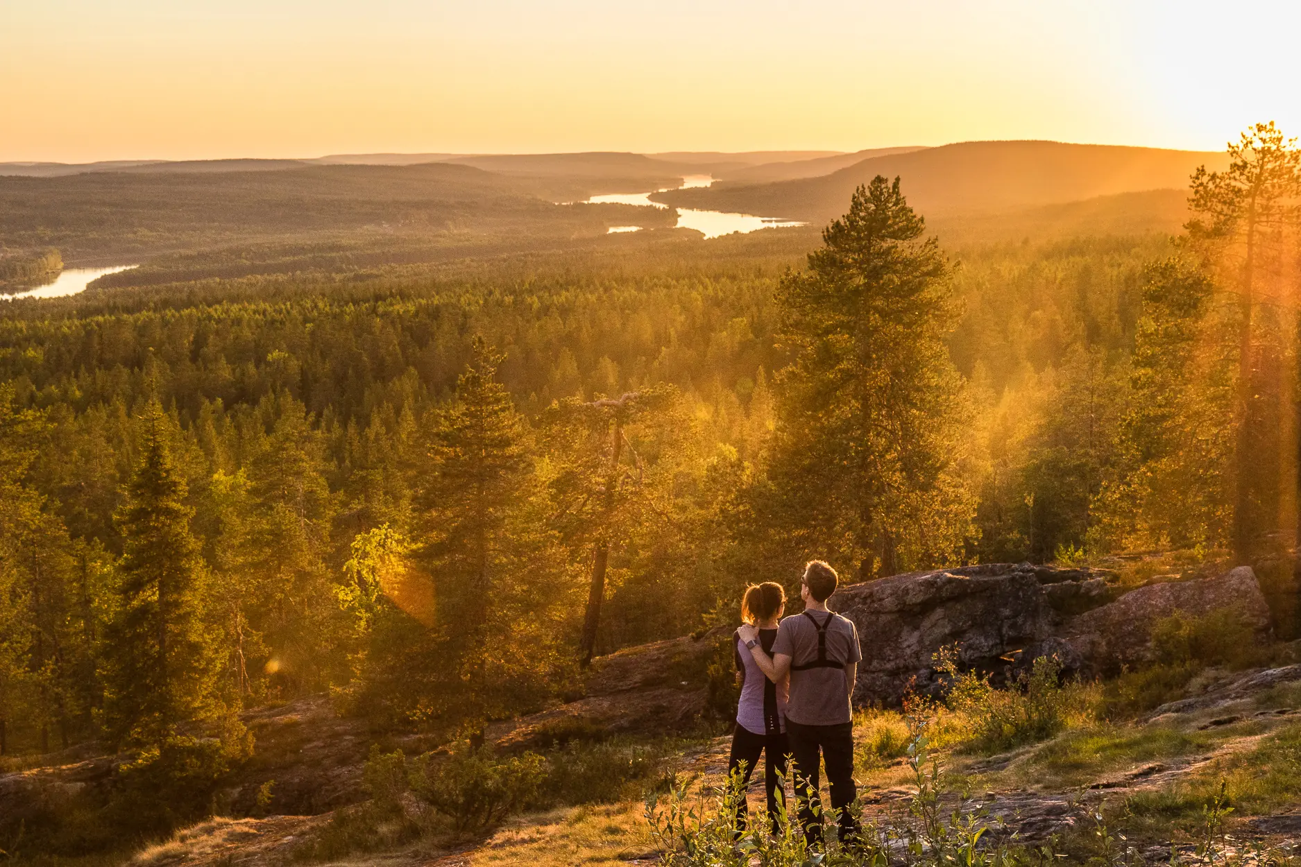 Arctic summer landscape in Lapland